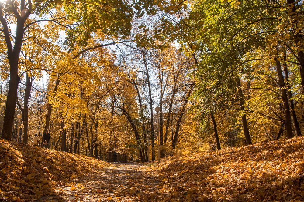 Photograph by Larisa Shuglya