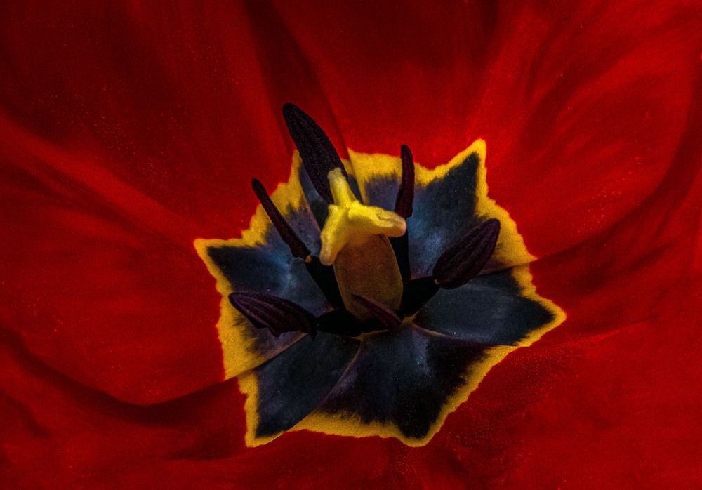 Photograph by Ирина Федорова