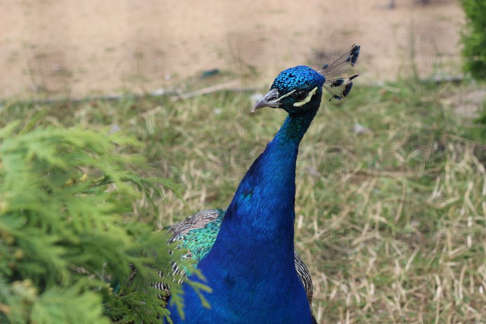 Фотография автора Лукашенко Ольга