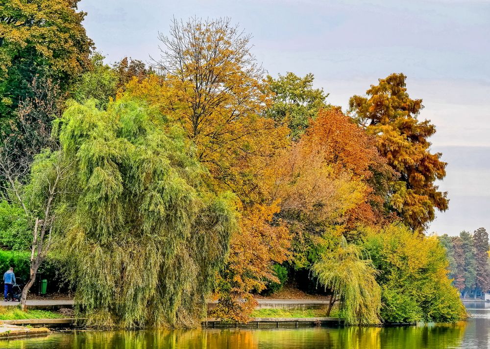 Autumn Herastrau Park, Bucharest - Romania