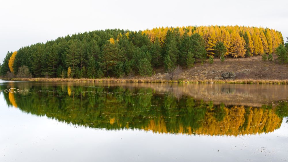 Photograph by Олег Бережных