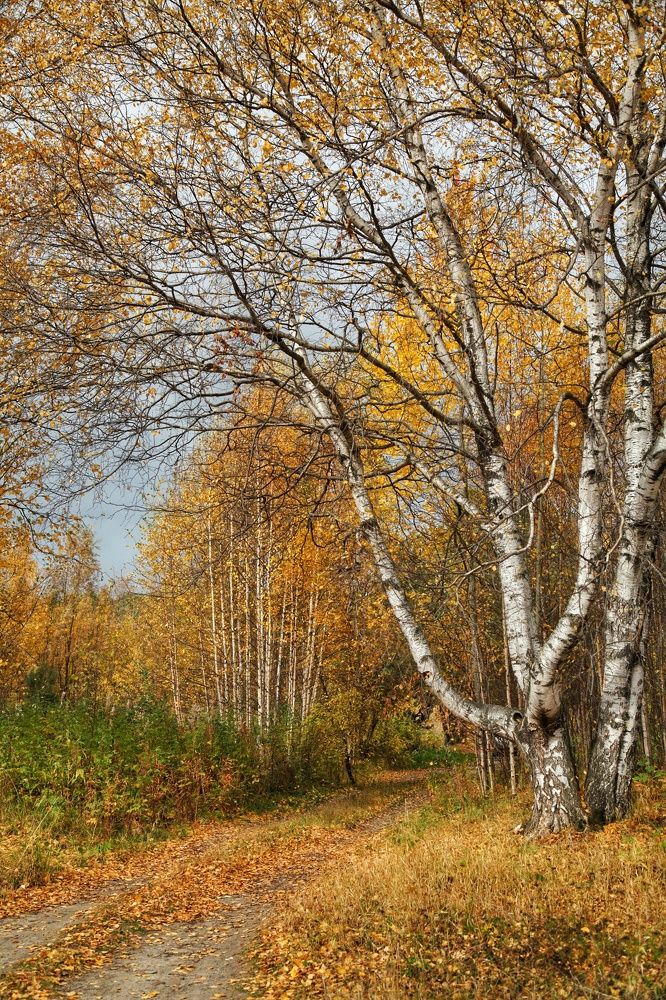 Photograph by Эльза Юнусова