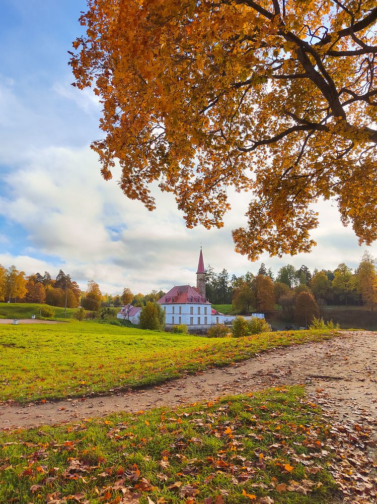 Фотография автора Наталья Королева