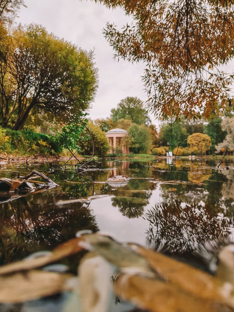 Фотография автора Наталья Королева