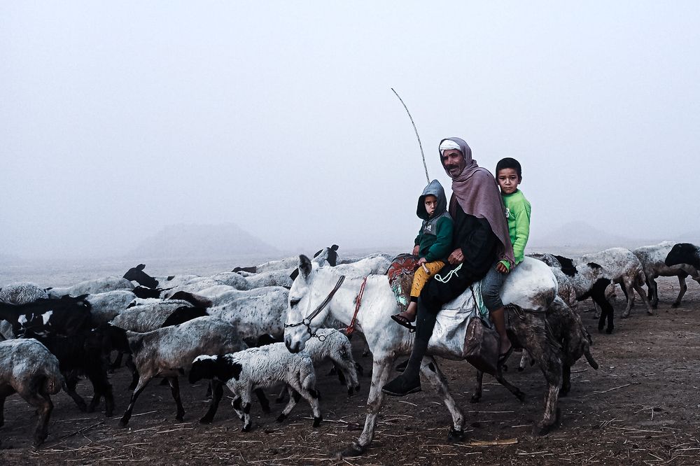 Photograph by Youssef Hany