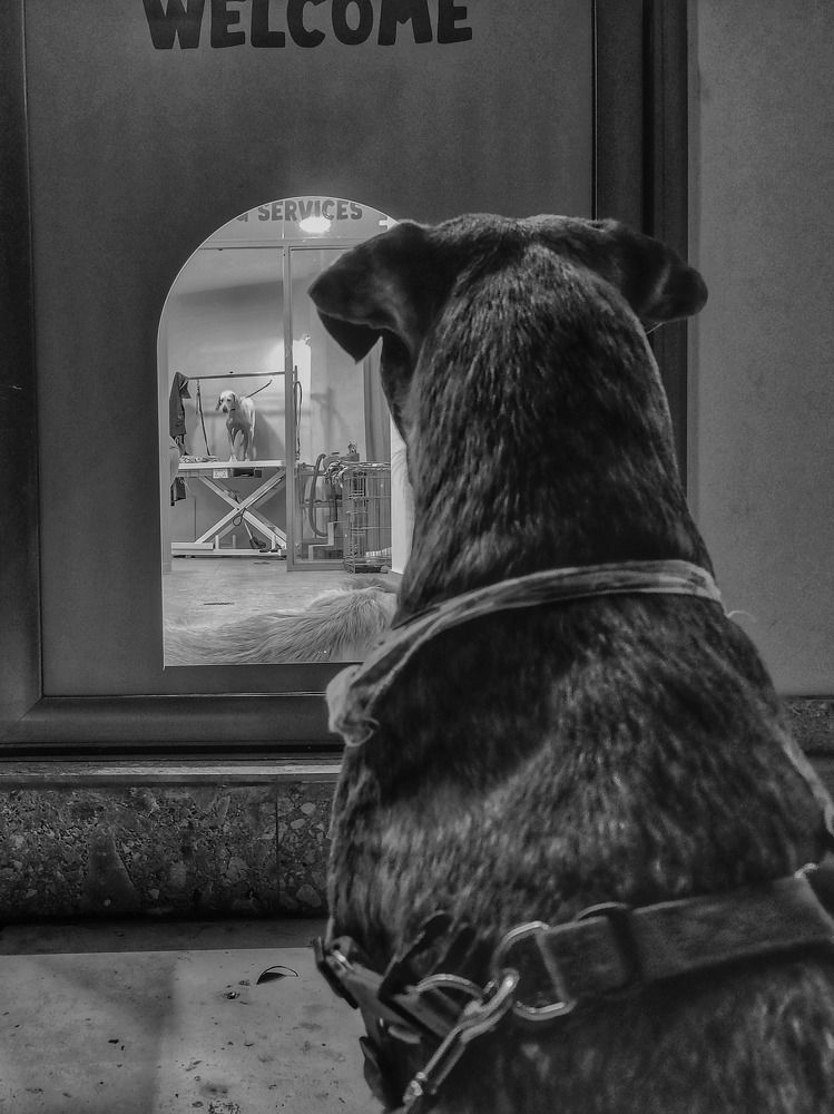 Фотография автора Ioannis Zafeiris