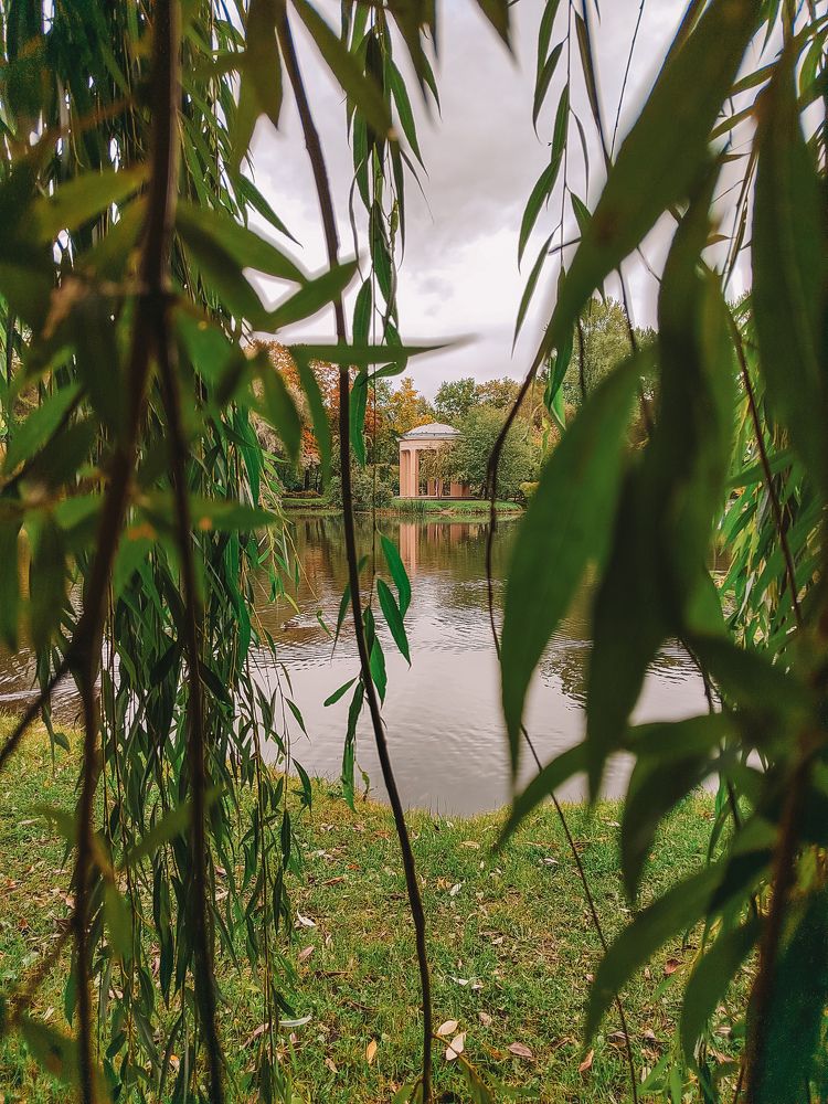 Фотография автора Наталья Королева