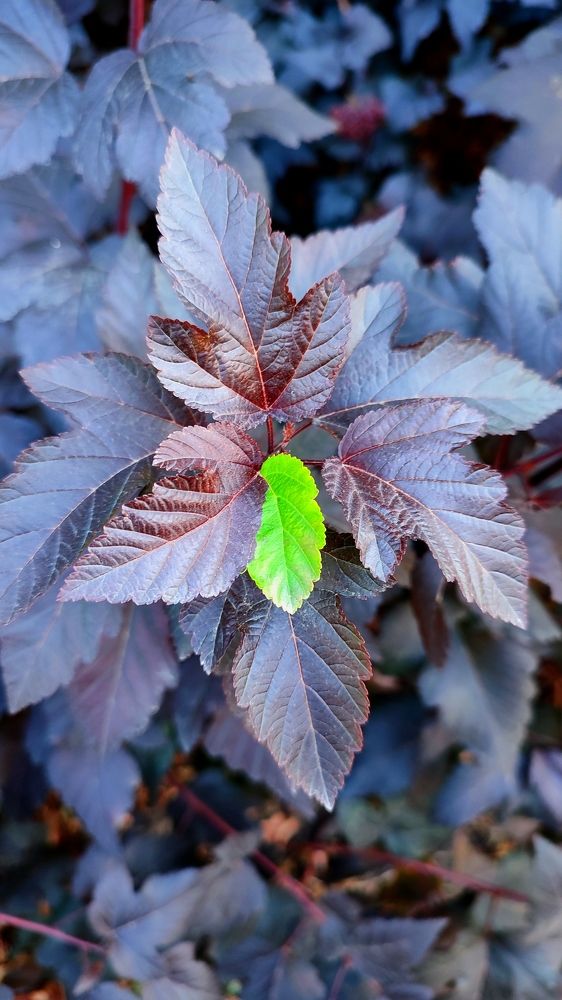 Photograph by Вахромова Елена