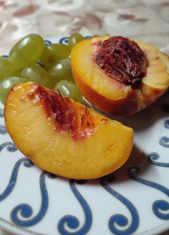 Photograph by Татьяна Рябова