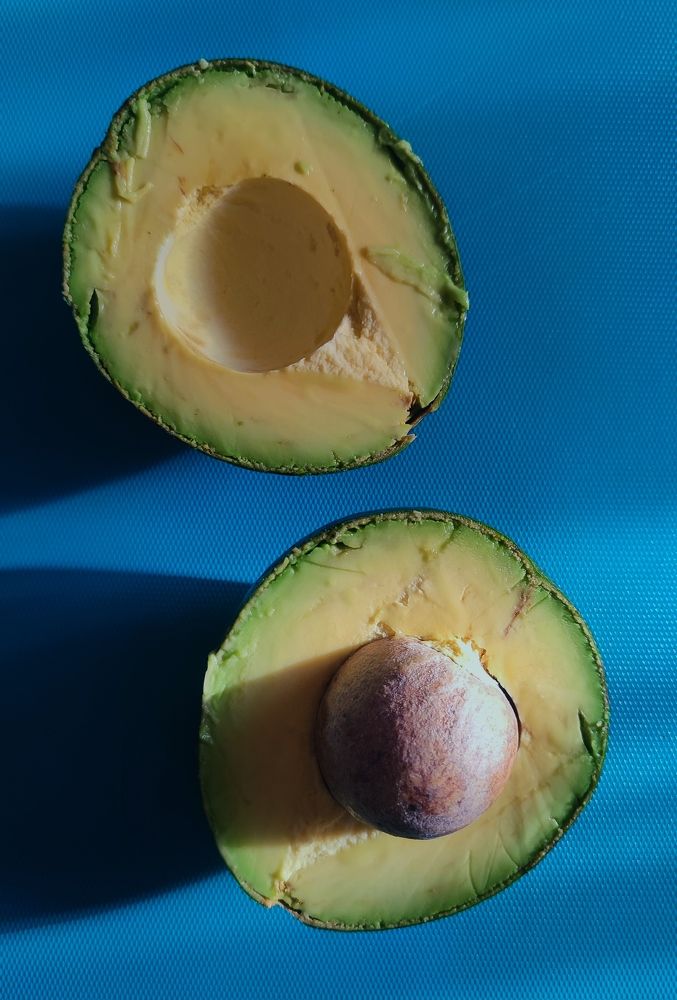 Photograph by Вахромова Елена