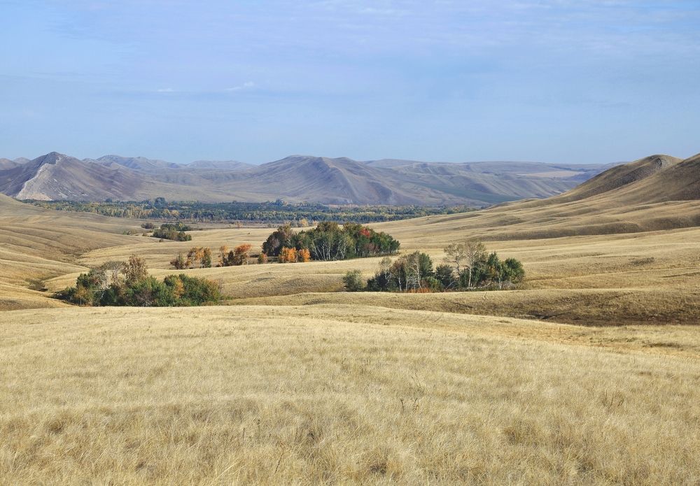 Photograph by Сергей Жданов