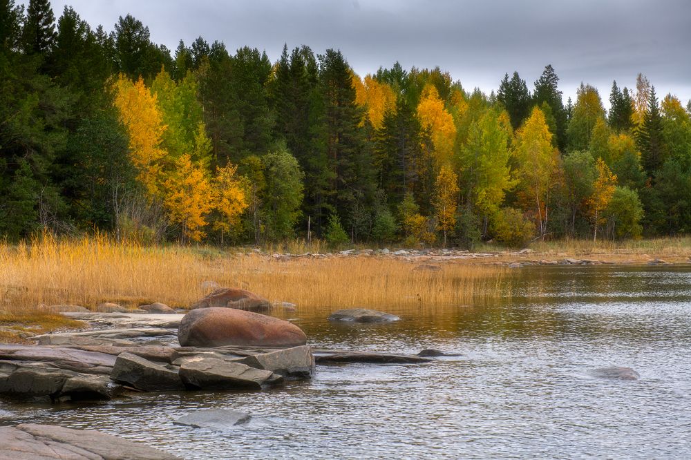 Photograph by Михаил Карпов