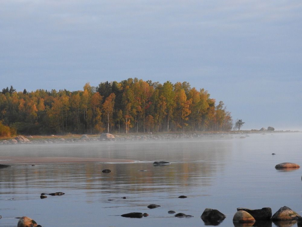 Фотография автора Юлия Овчинникова