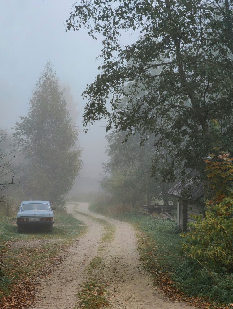 Photograph by Дарья