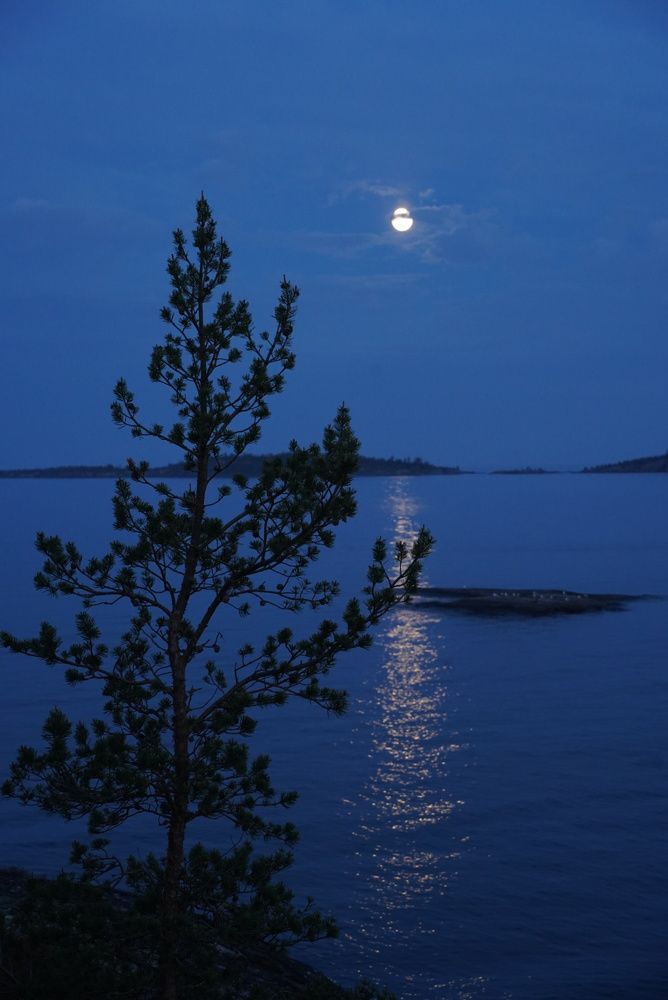 Фотография автора Юлия Овчинникова