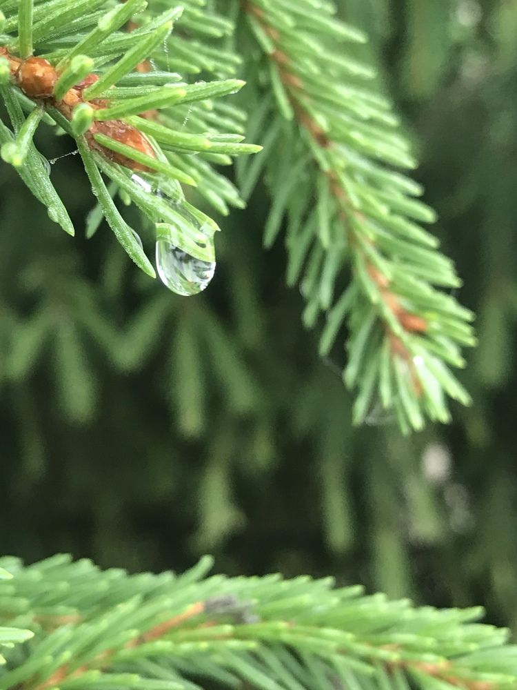 Photograph by Татьяна Шибанова