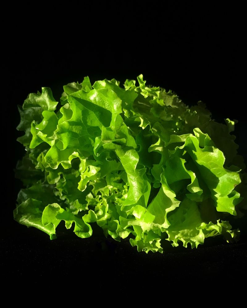 Низкий ключ