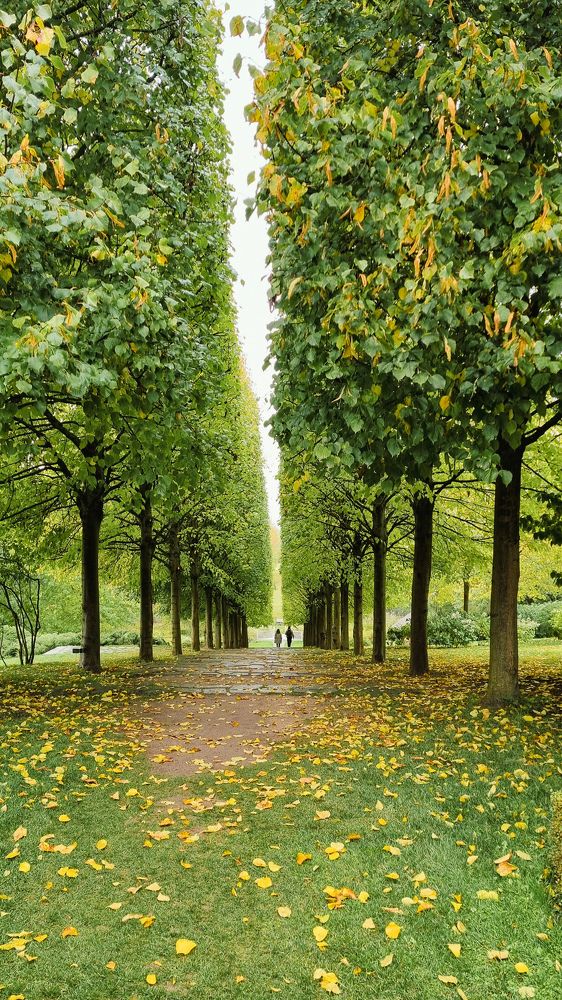 Photograph by Лариса Толкачёва