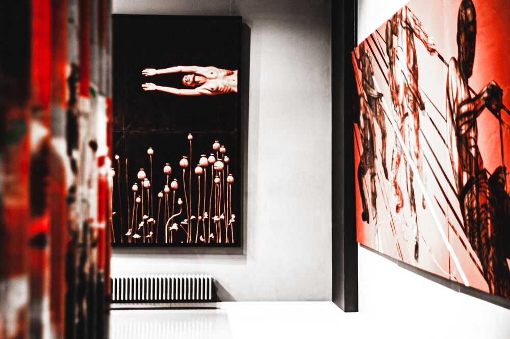 Фотография автора Alla Valevskaya