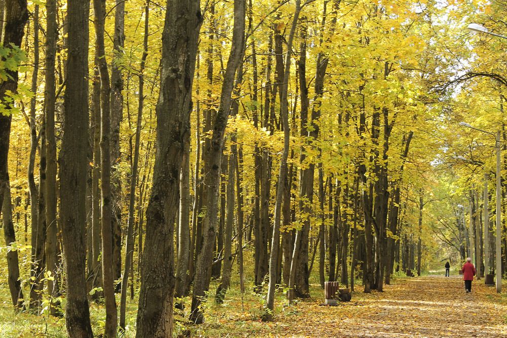 Photograph by Нинель Некрасова