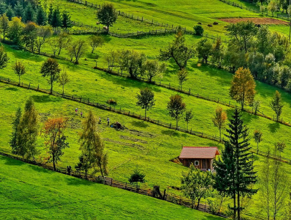 Photograph by Octavian Timosco