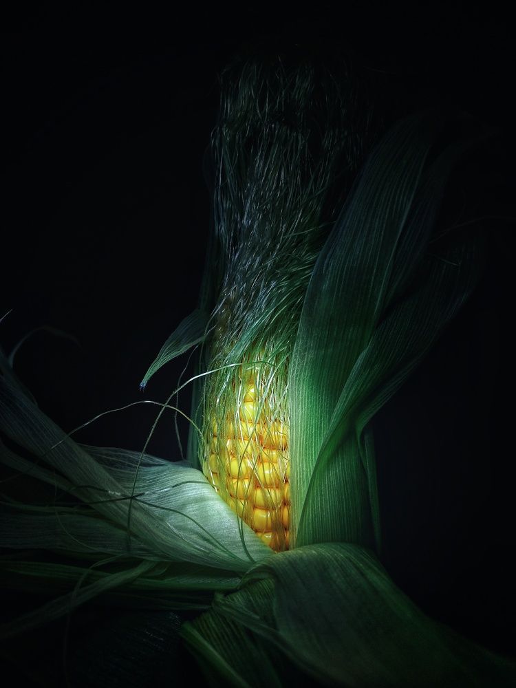 Photograph by Марина