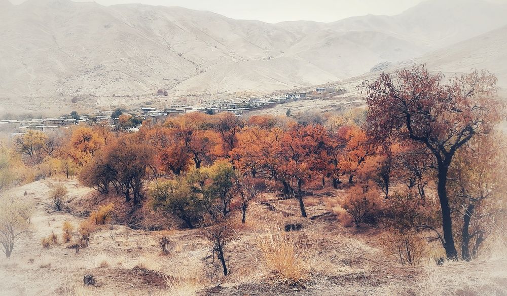 Фотография автора Mahdi Hosseini Kia