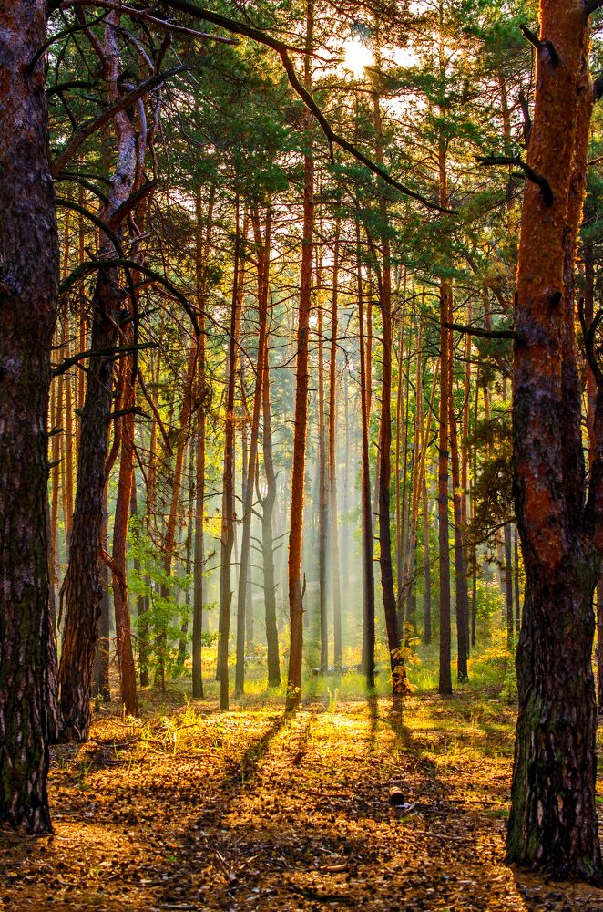 Photograph by Евгений Каримов