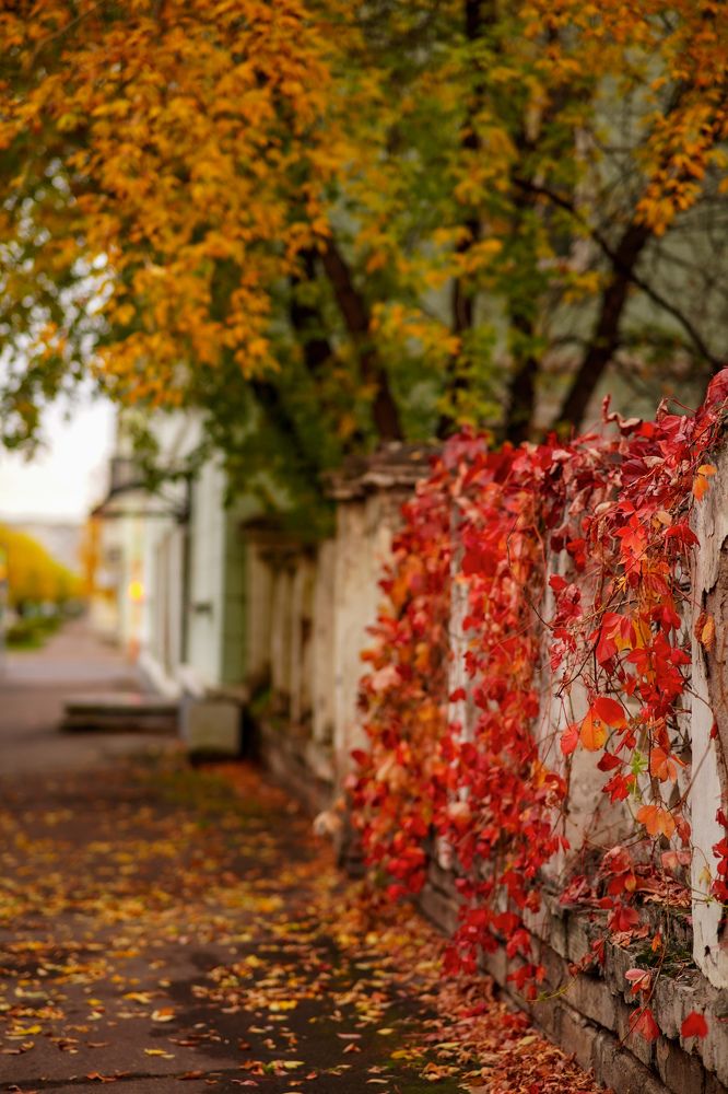 Photograph by Екатерина Дубровская