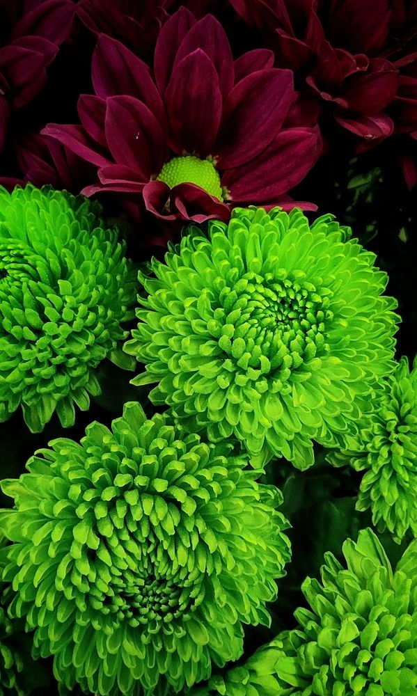 Photograph by Наталья Рау