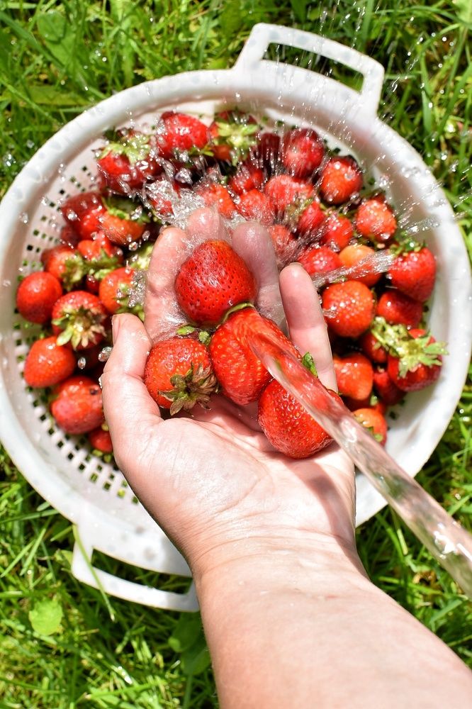 Photograph by Татьяна Абабкова