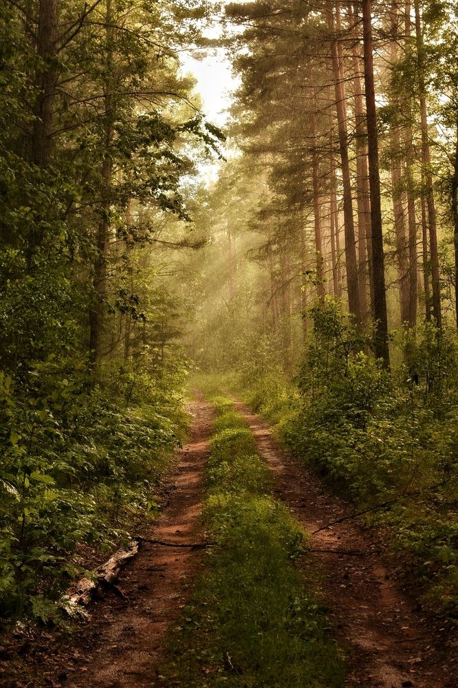 Photograph by Татьяна Абабкова