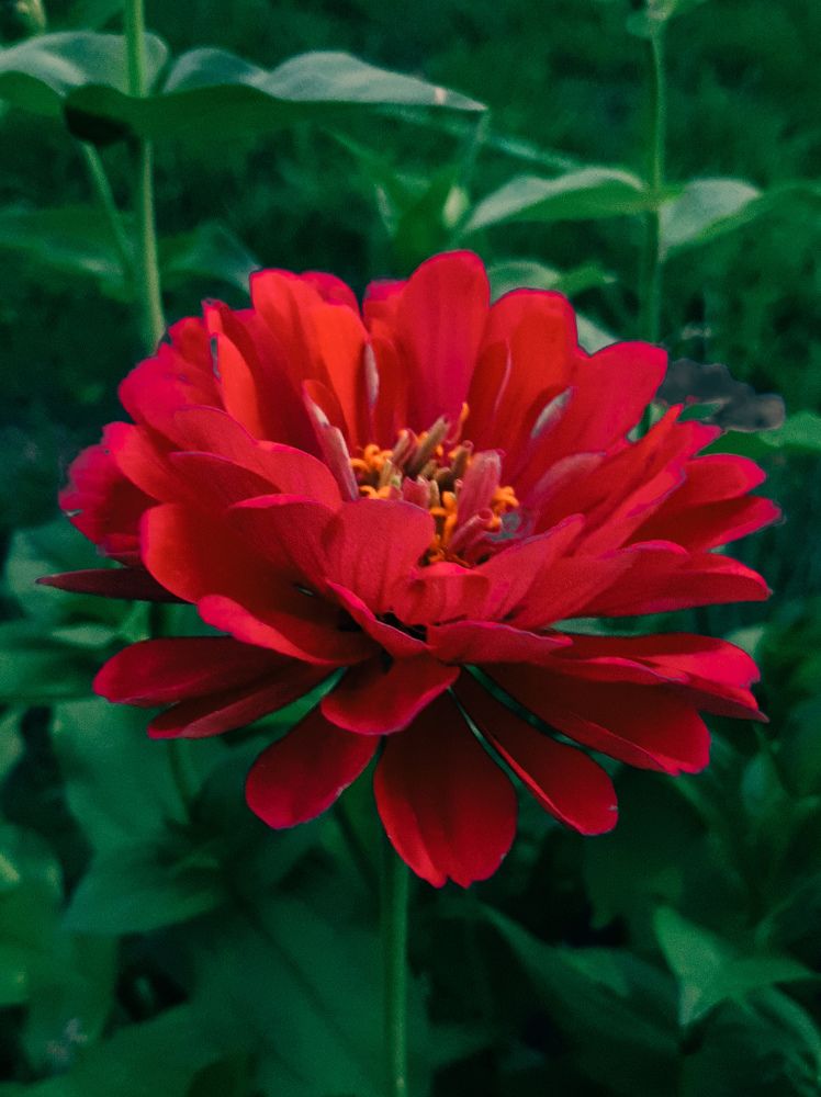 Photograph by Ольга Моисеева