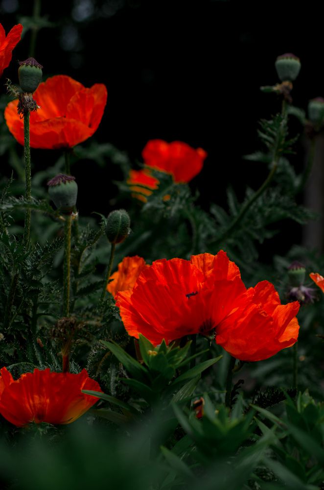 Photograph by Ольга Моисеева