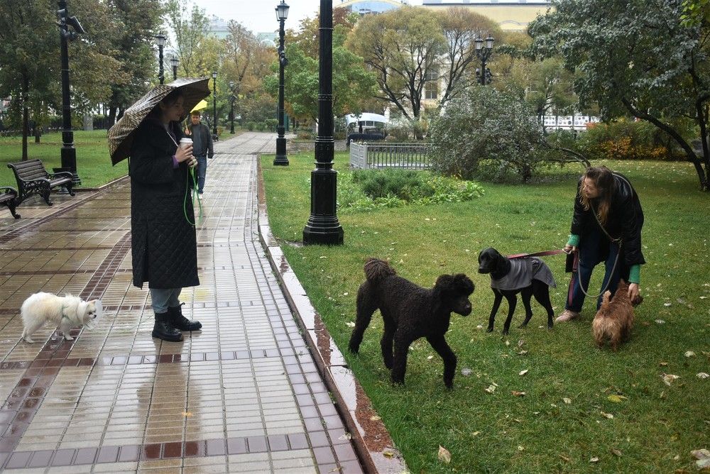 Photograph by Сергей Иванович Носов