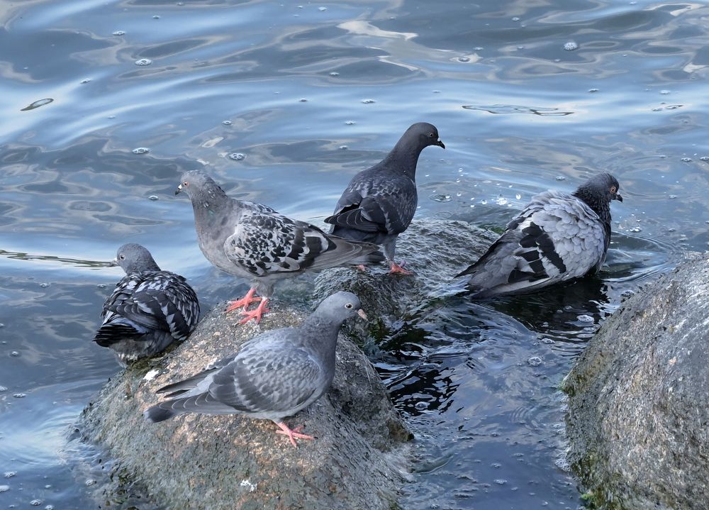 Photograph by Аудрюс Балчетис