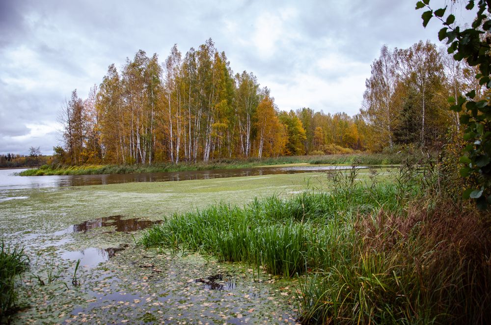 Фотография автора Войнов Дмитрий