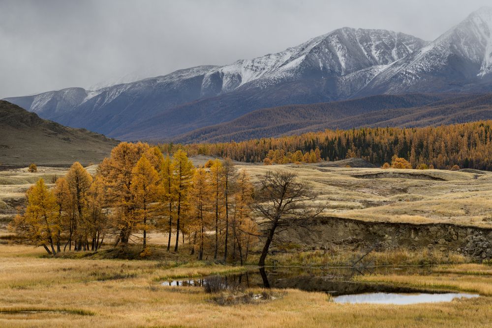 Осень на Алтае