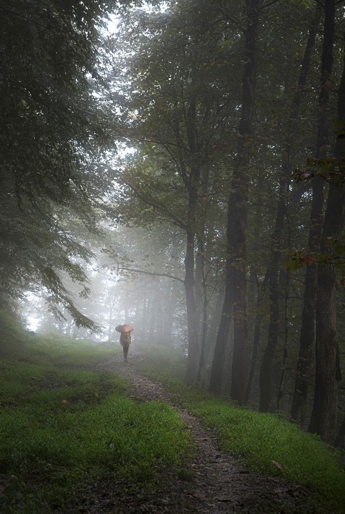 Photograph by Riahi Hosein