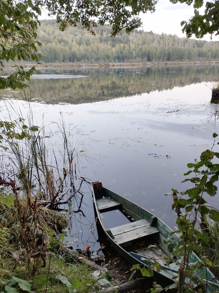 Photograph by Елена Санникова