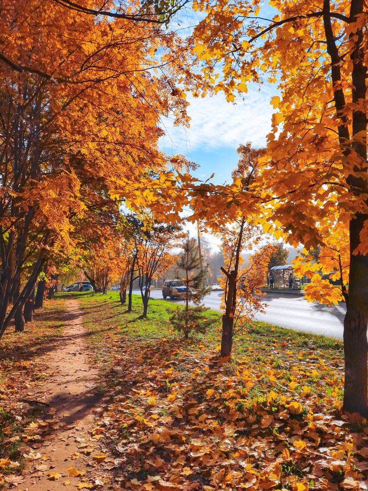 Фотография автора Войнов Дмитрий