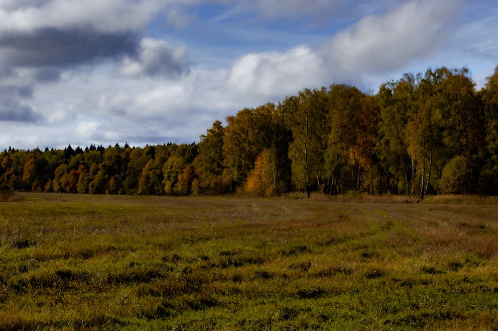 Photograph by Сергей Аникушин