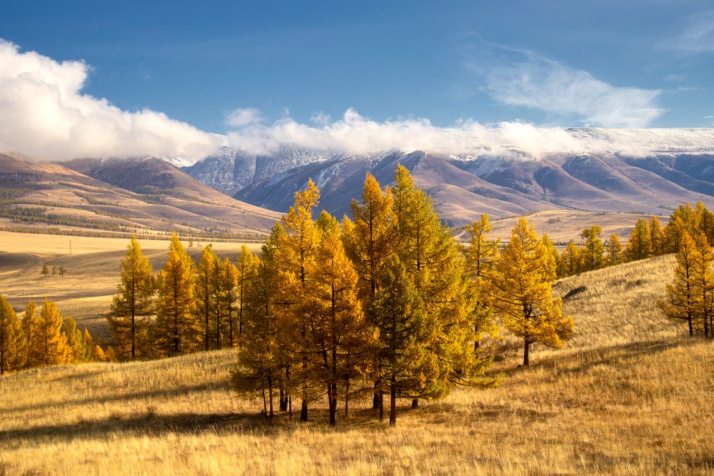 Photograph by Юрий Столыпин