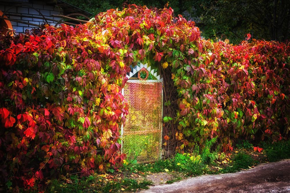 Фотография автора Юлия Кранина