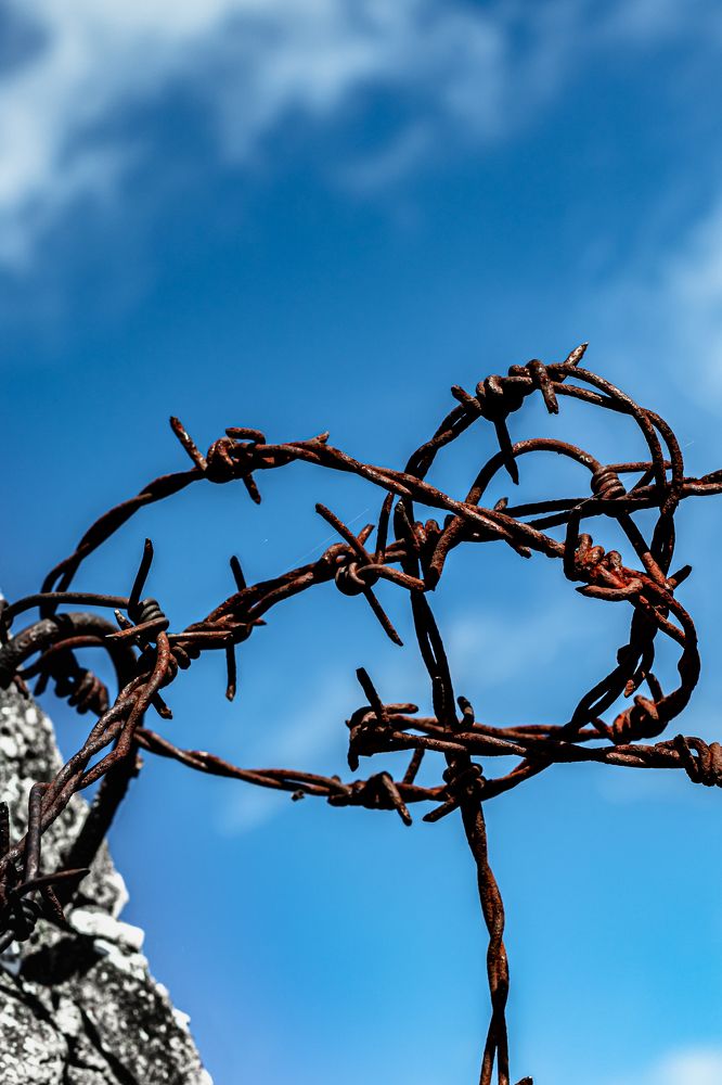 Photograph by Сергей Аникушин