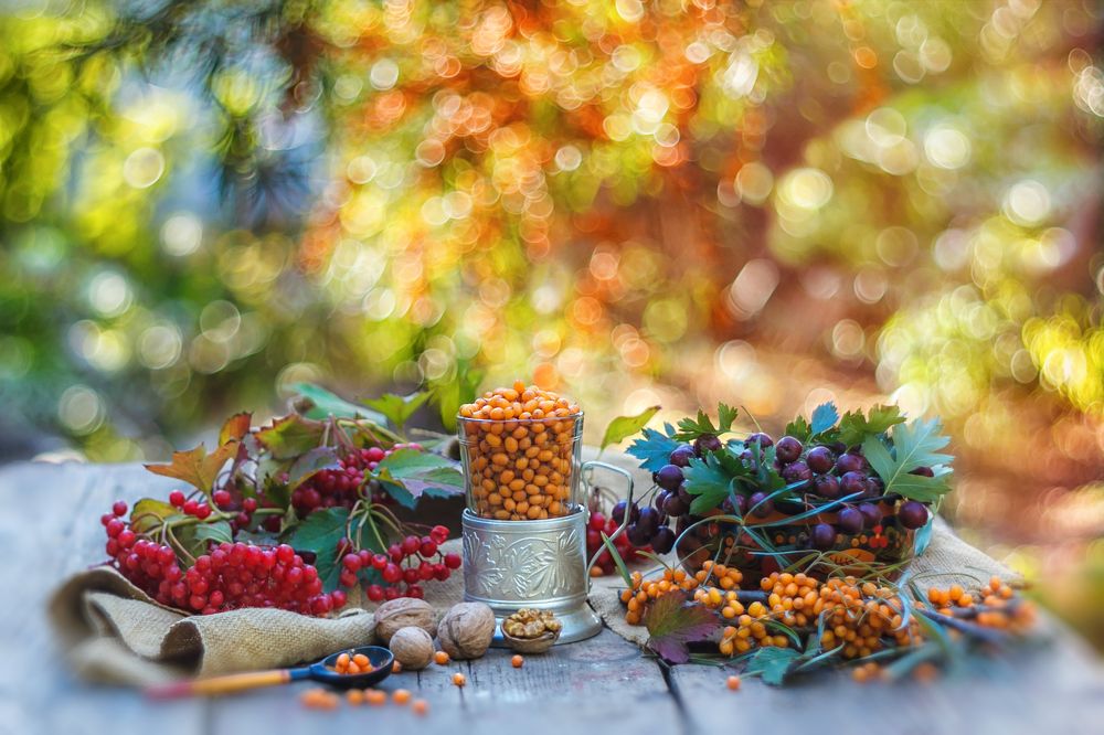 В сентябрьском саду