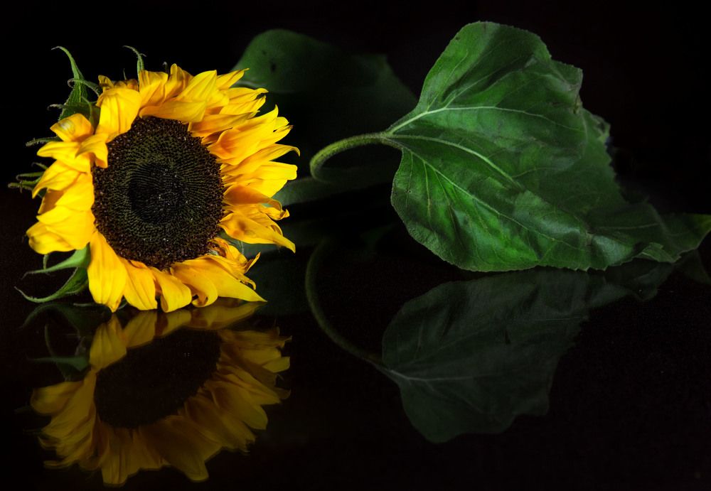 Photograph by Елена Акатьева