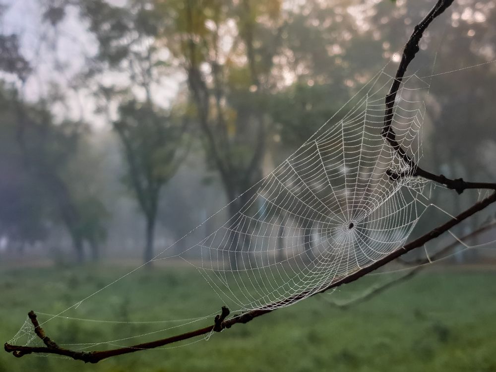 Photograph by Лариса Когтева
