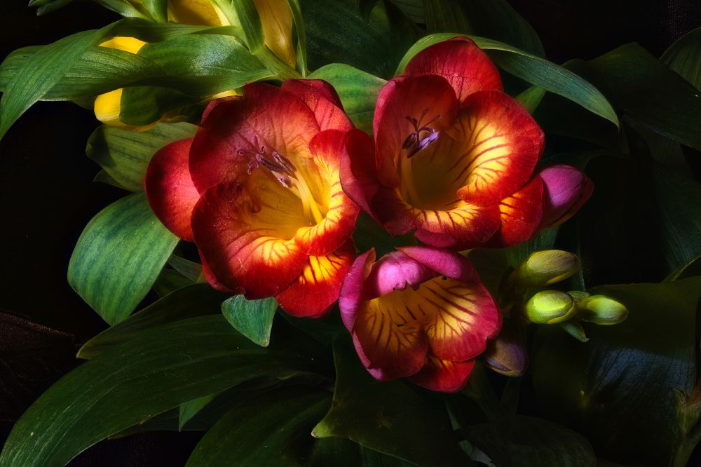 Photograph by Владимир Кваша