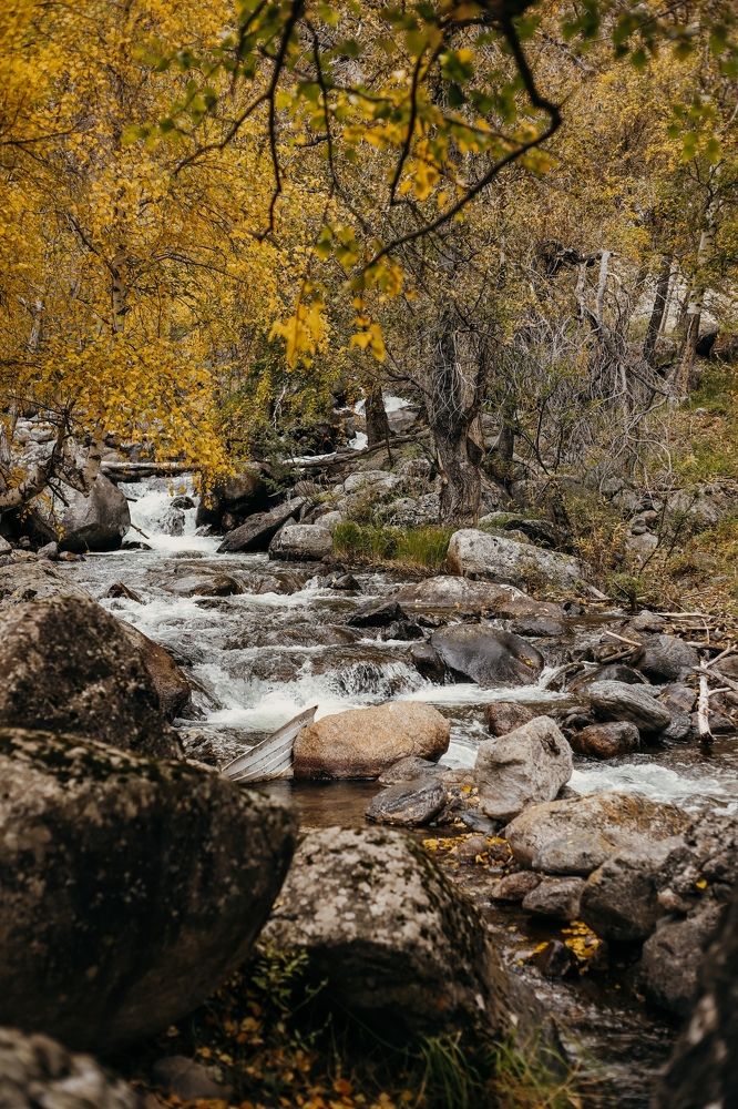 Photograph by Элина Ларченкова